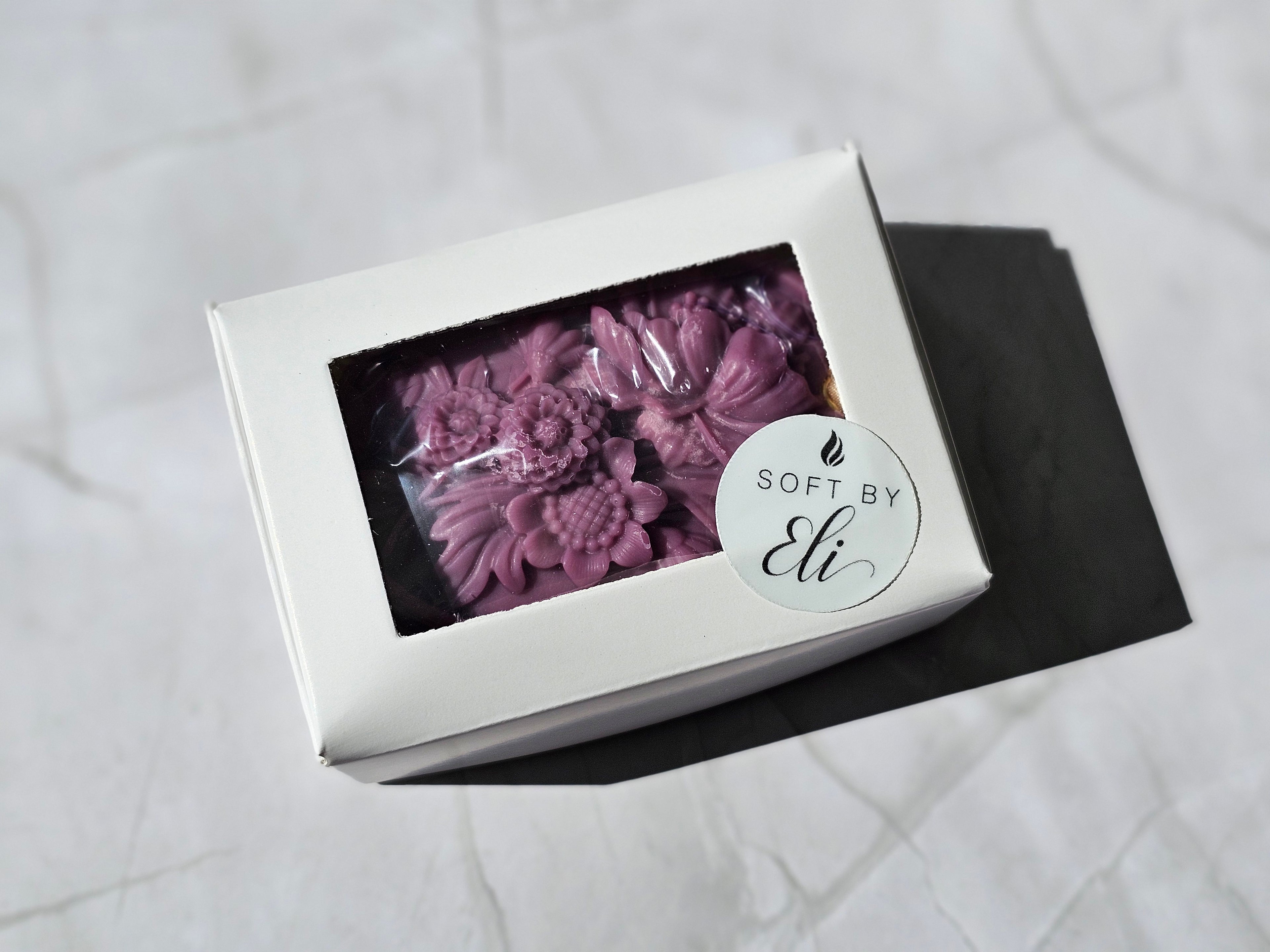 Scented Wardrobe Tablets "Black Fig & Vetiver" (2-Pack)